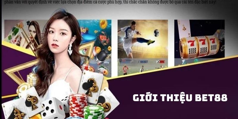 Giới thiệu BET88 qua các chính sách